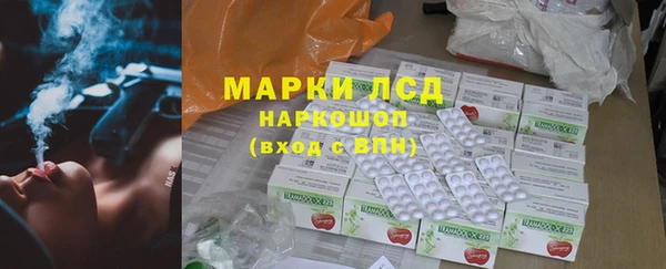 молекула духа Богданович