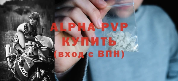 молекула духа Богданович