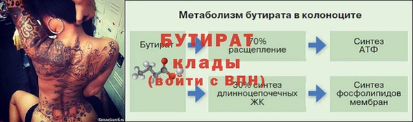 молекула духа Богданович