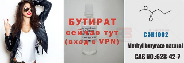 молекула духа Богданович