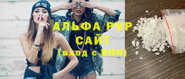 молекула духа Богданович