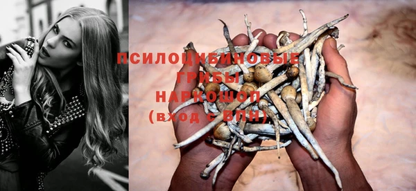 спиды Беломорск