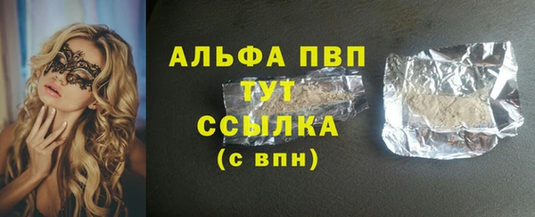 молекула духа Богданович
