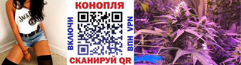 Бошки марихуана White Widow  Купить  Вяземский 